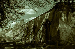 Salomón_Maislin,_Diplomado_Digital_2