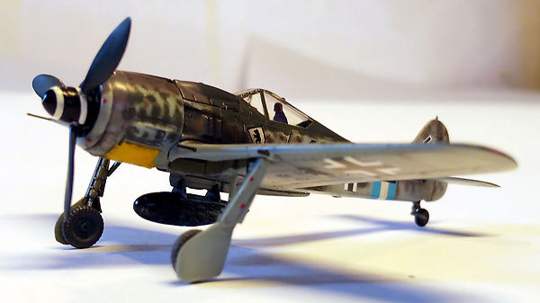 fw190a8jg300b10a.jpg