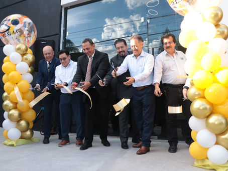 México se consolida como uno de los principales países productores y exportadores de mango en el mundo