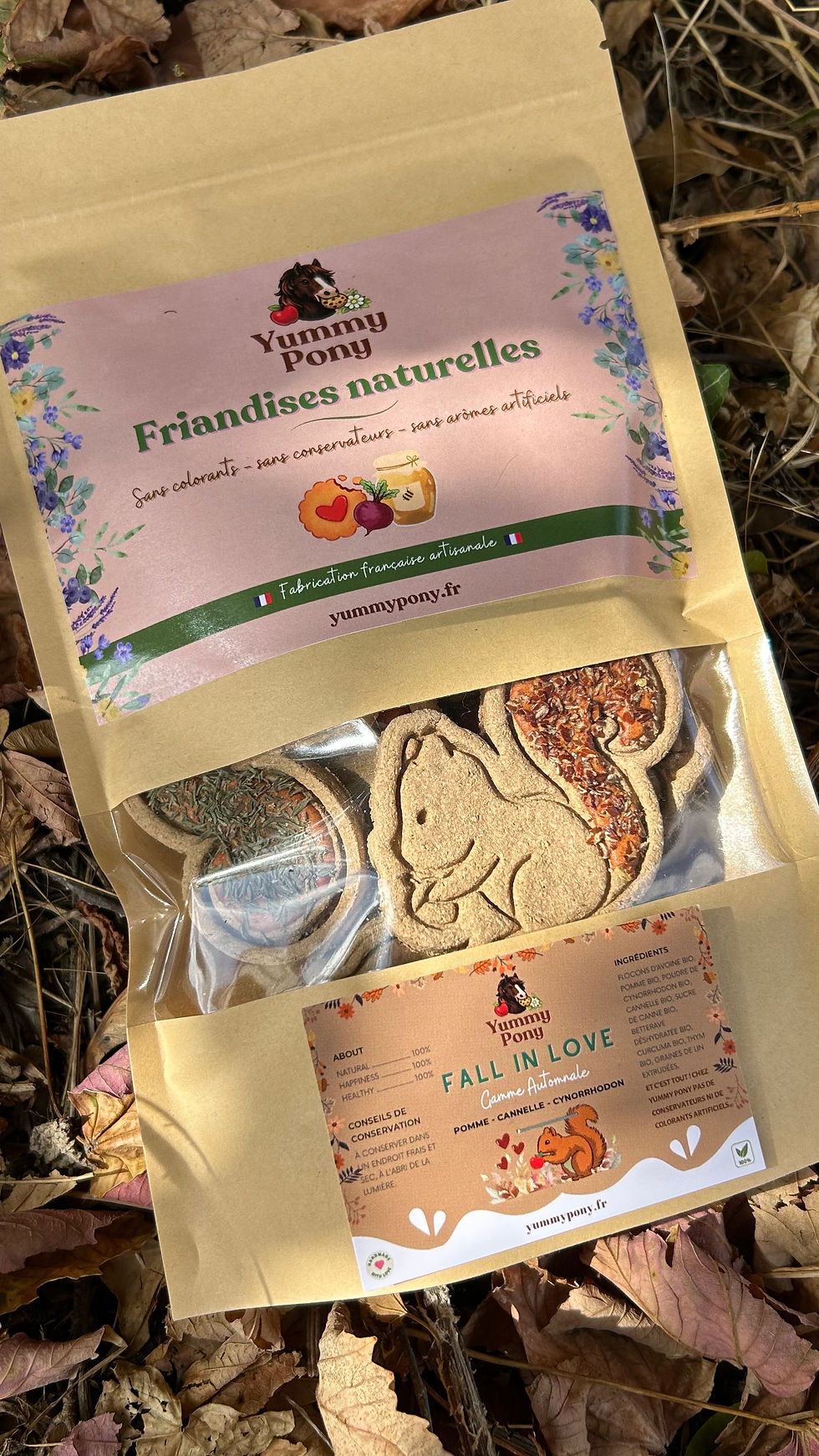 Miniature : Fall in Love - Pomme, Cannelle & Cynorrhodon  🐿️🍎