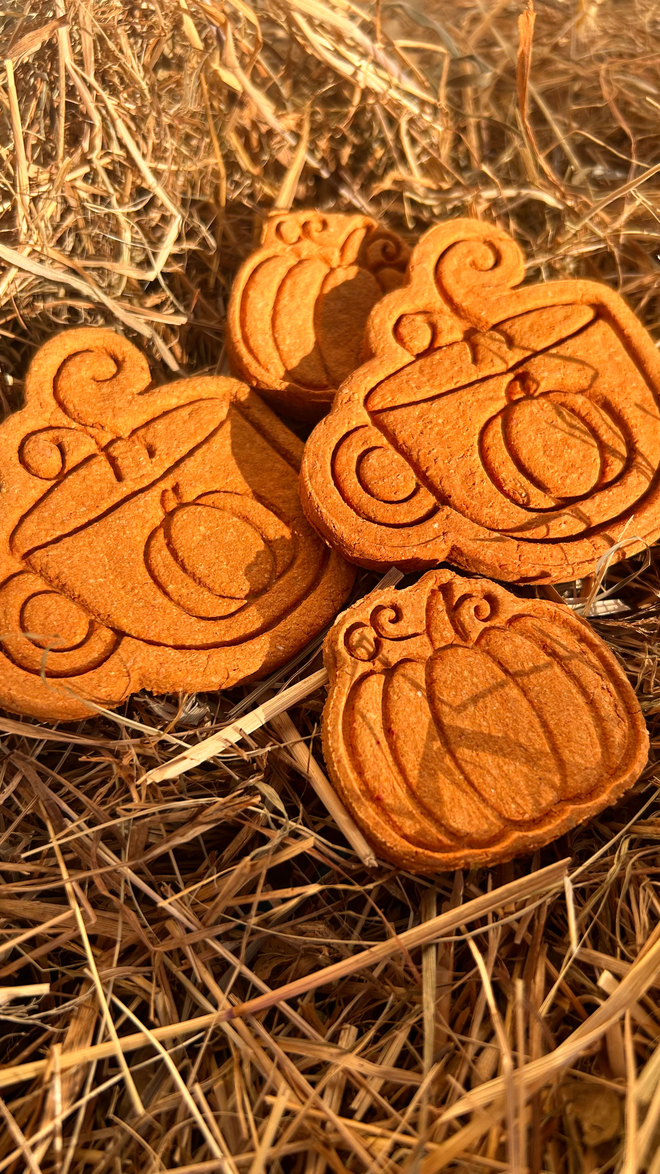 Pumpkin & Chill - Citrouille, Fenouil & Curcuma đđ