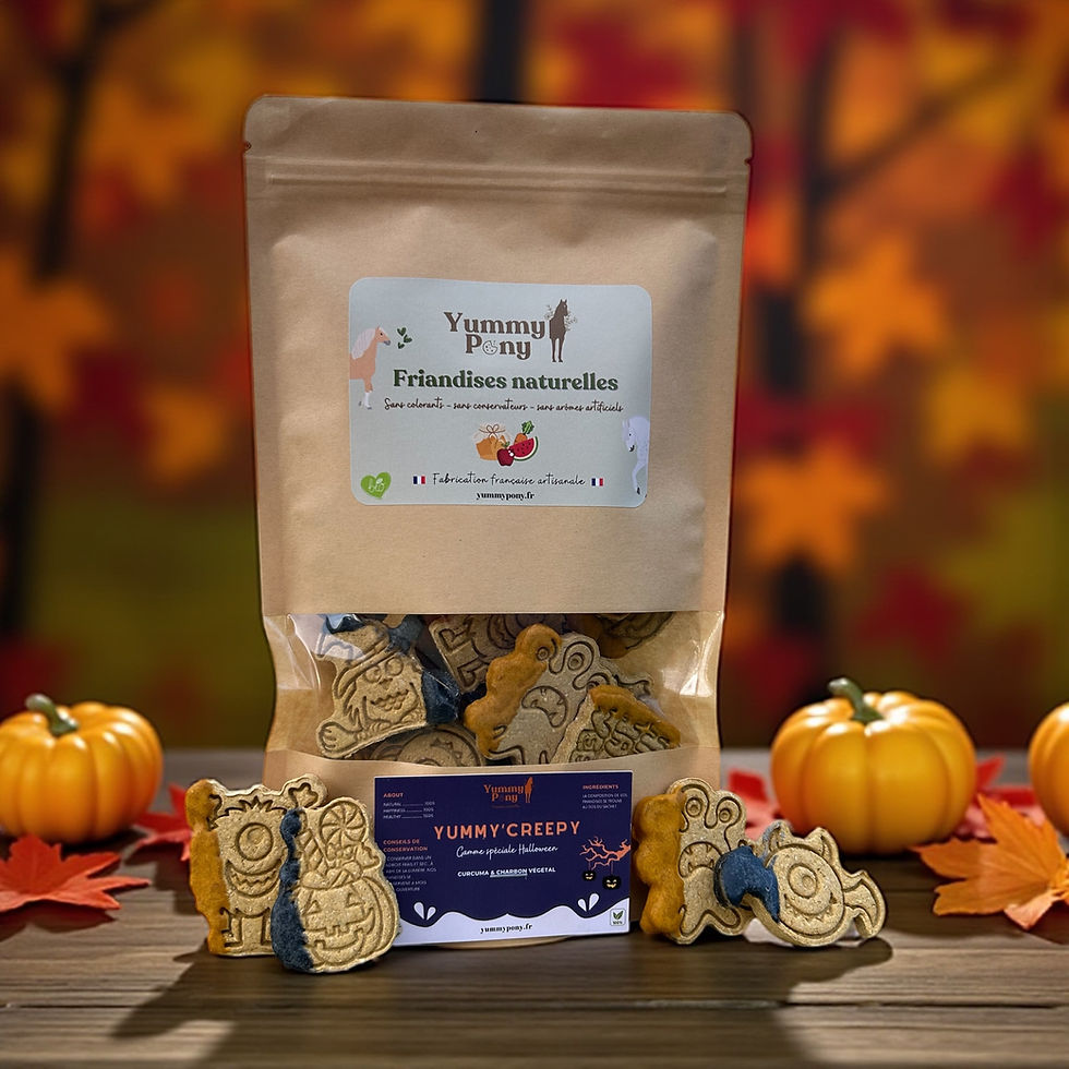 Yummy'Creepy - Gamme spéciale Halloween - Carotte, curcuma et charbon 🎃🖤