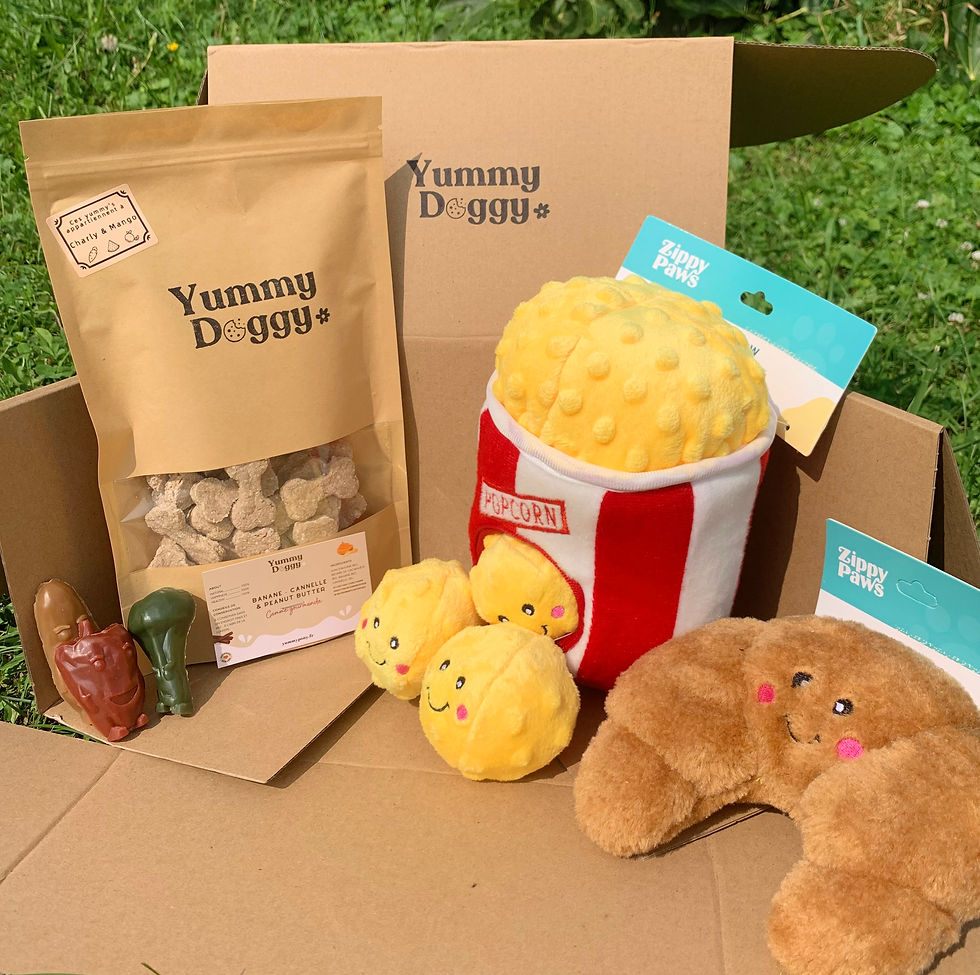 Miniature : Doggy'box -  Jouets, friandises & accessoires  🍭🧸