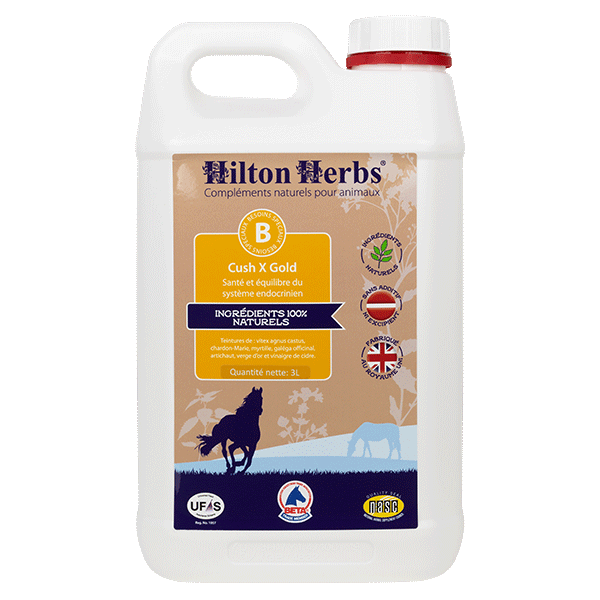 Miniature : Hilton Herbs - Cush X Gold