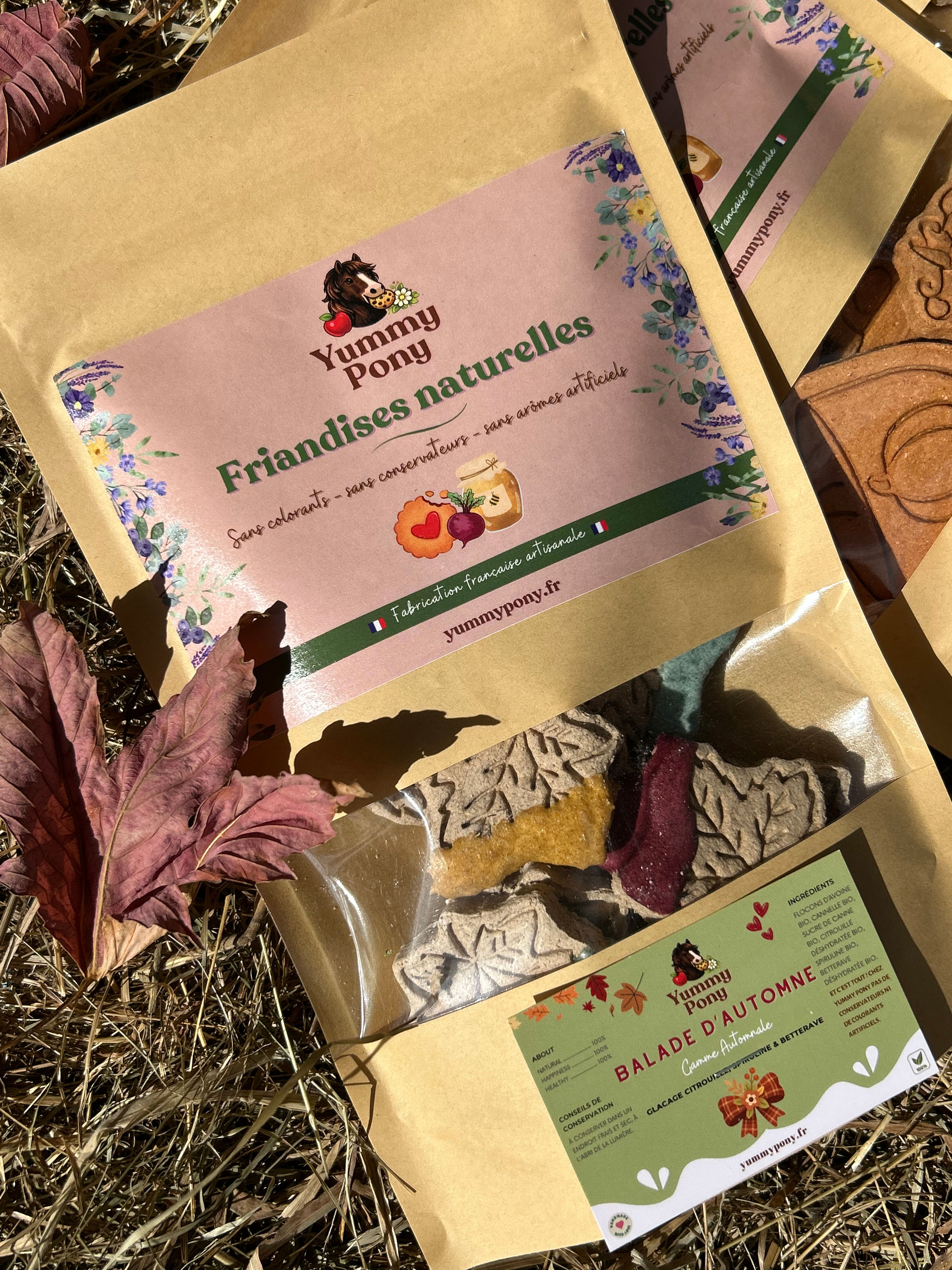 Balade d'Automne - Citrouille, spiruline & betterave 🍁