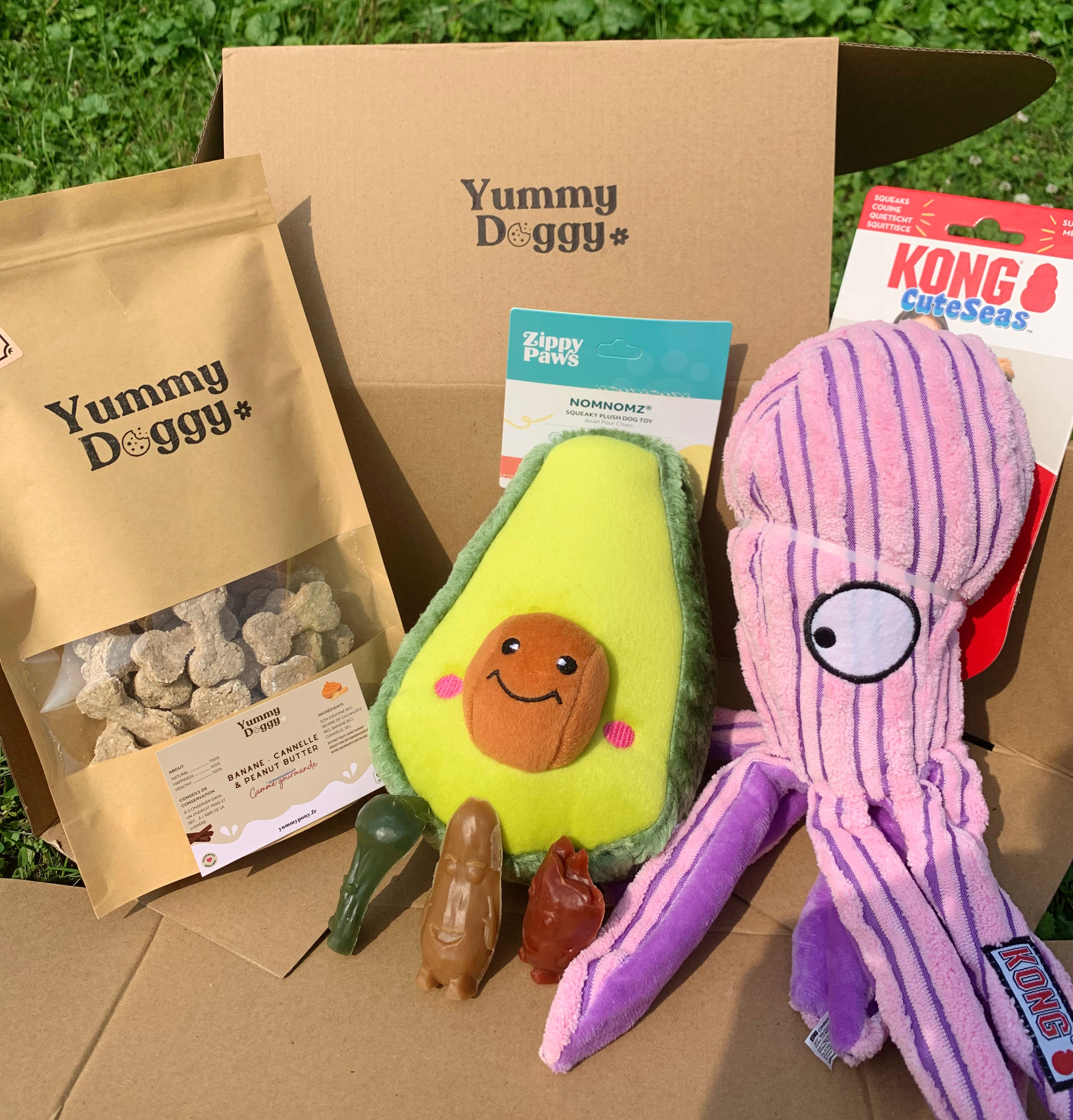 Doggy'box - Jouets, friandises & accessoires 🍭🧸