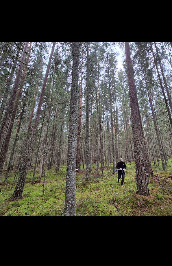Metsä_mittaus.jpg
