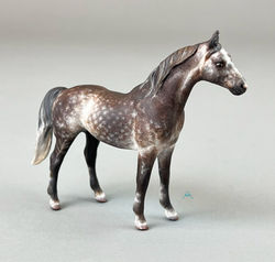 SM G1 Arabian