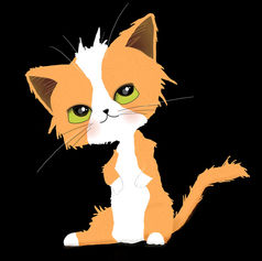 Orange White Cat on Black - Blushing Meow