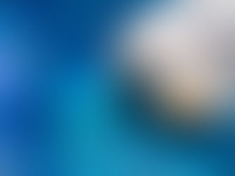 Seminar oder Einzeltermin - neues Angebot