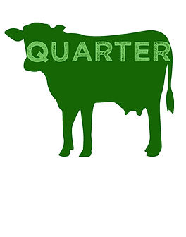 quarter.jpg