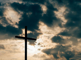 aaron-burden-df47UDrfi8I-unsplash (1).jpg