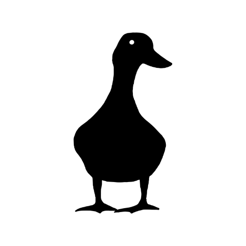 Writer: The Creative Duck