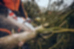 chainsaw.jpg