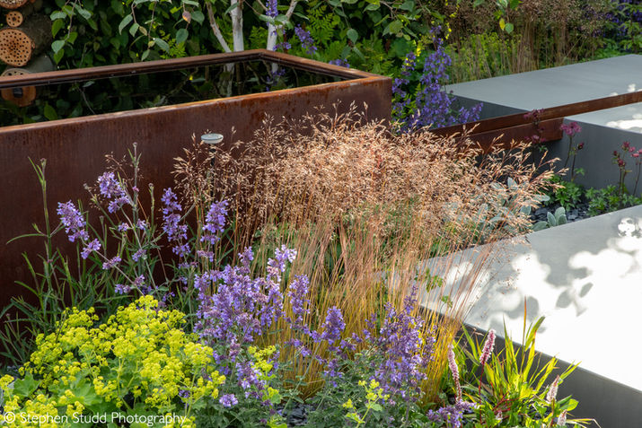 Eco Oasis Garden planting scheme with ornamental grasses and flowers