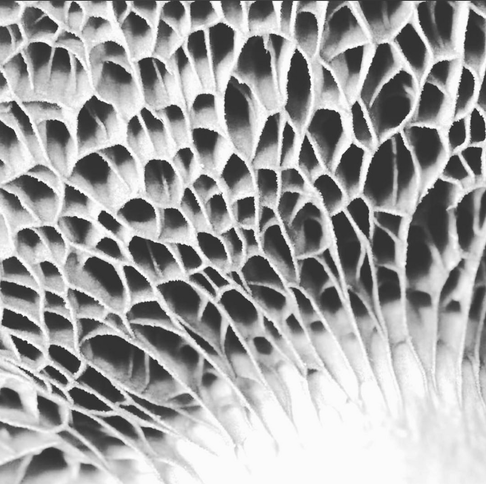 Thumbnail: Scroll Pendant