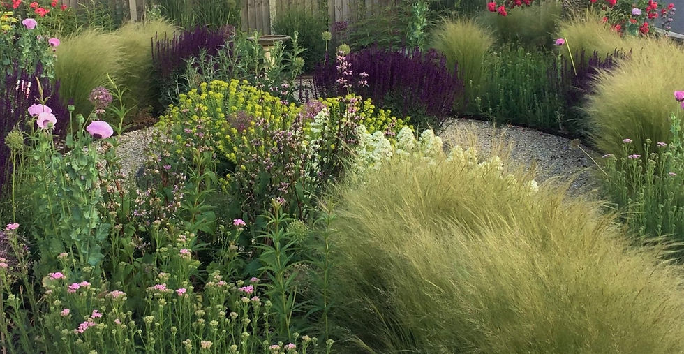 Dan Hartley Gardens - Naturalistic garden of ornamental grasses and drought tolerant perennial planting