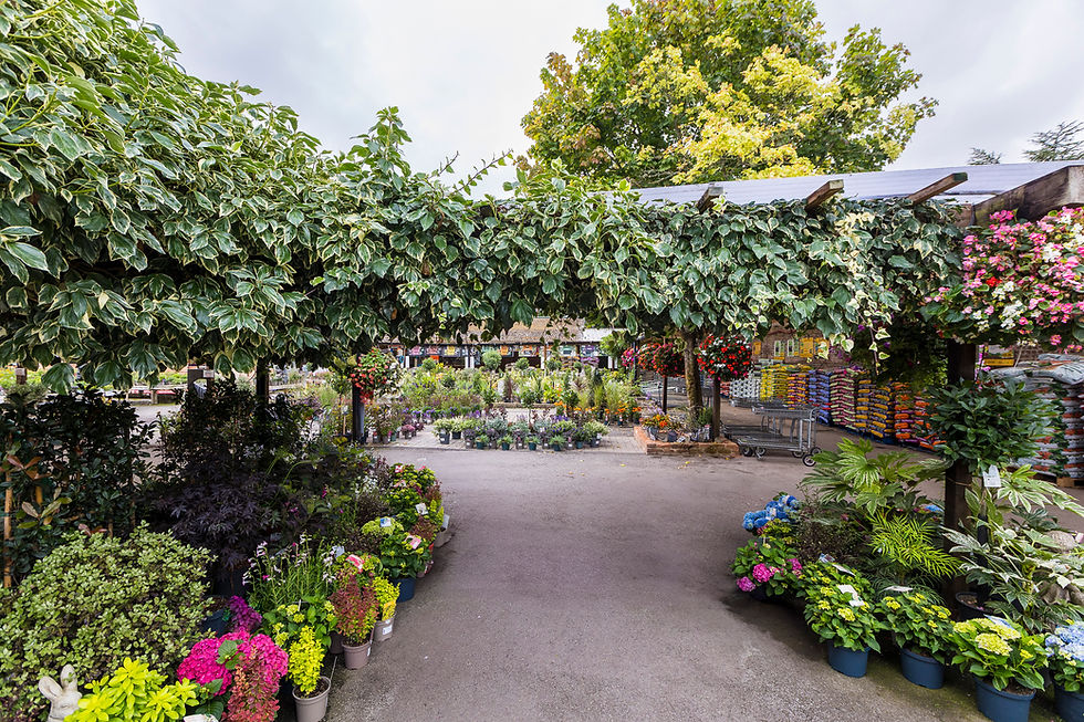 ToadHall Garden Centre entrance display