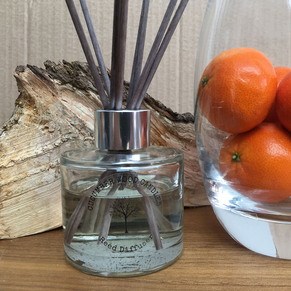 Orange & Cinnamon Diffuser 100ml