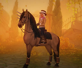 StarStable 2025-07-07 18-45-37_edited.jpg