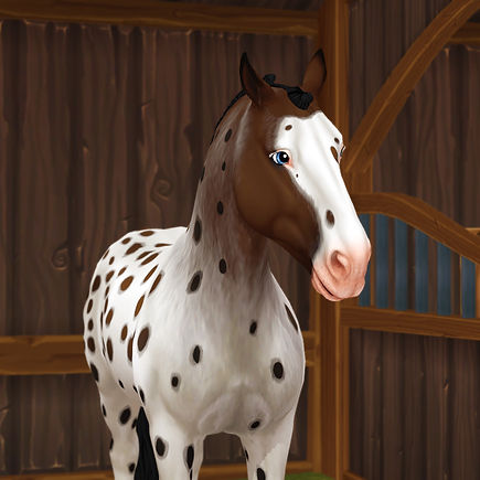 StarStable 2025-11-09 22-14-55_edited.jpg
