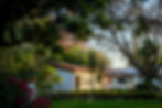 DSCF6549copia.jpg