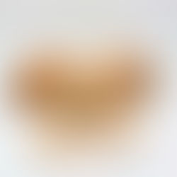 リュスティック