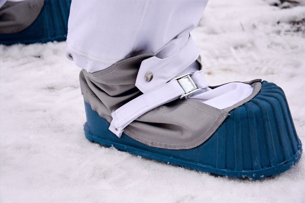 Miniatura: Botas de astronauta de la NASA