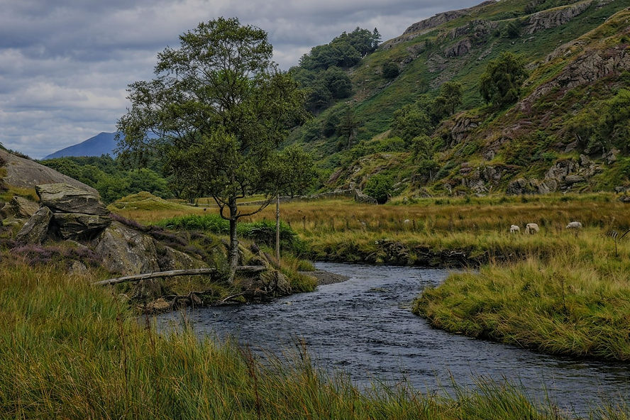 conwy valley high res_edited.jpg