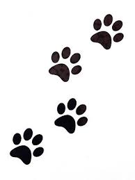 Writer: JustPuppies Training School