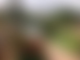 A Fantastic Family Weekend