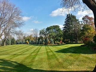 Lawn 2.jpg