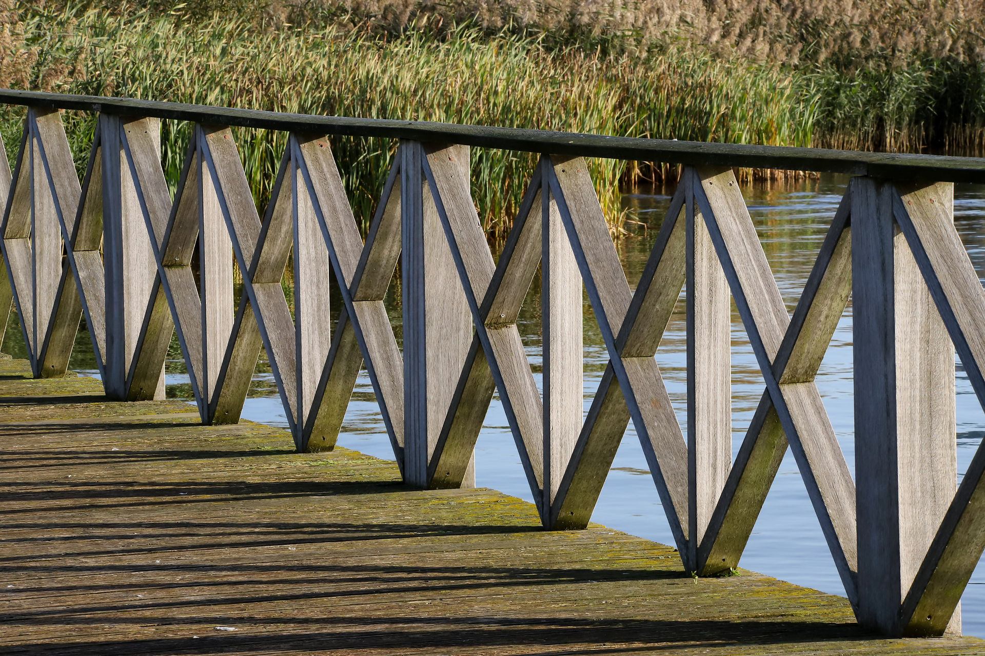 scenic wetlands area in Cardiff, featuring lush green vegetation