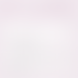 【工房販売スケジュール】