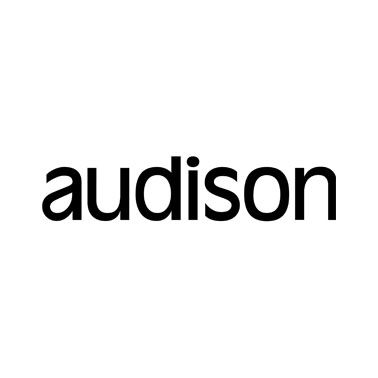 Audison Vinyl Decal