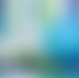 What Do You Do for Physical Activity Each Week?