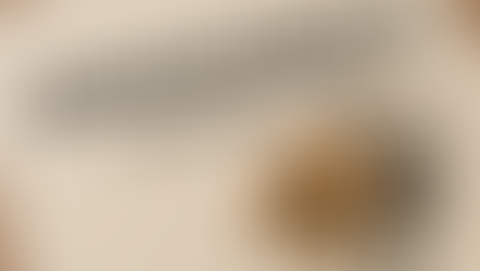 Los derechos de los arrendatarios en Baja California: protección real para quienes rentan una casa o negocio