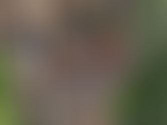 Our paper is out! Learn how mining threatens isolated indigenous peoples in the Amazon