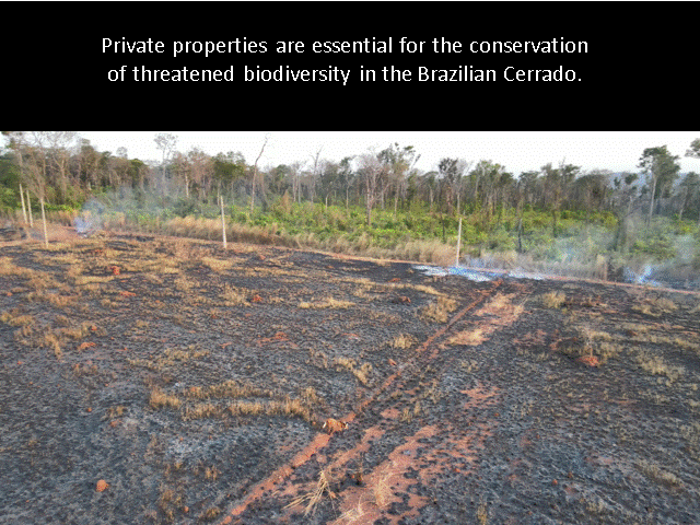 Don't miss our paper in Science! - and learn about the role of private properties for conservation