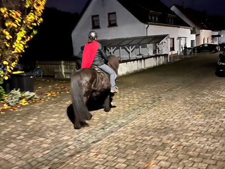 Sankt Martin