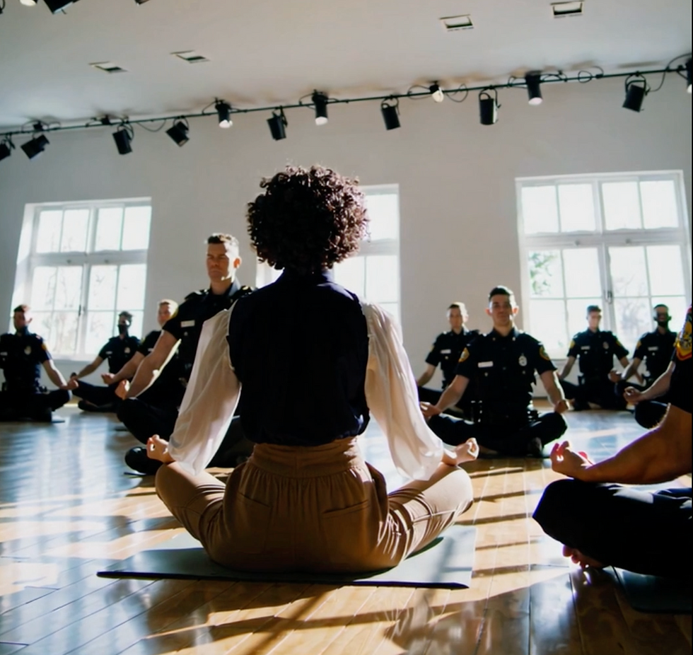 Law Enforcement Emotional Intelligence & Resilience Training eBook