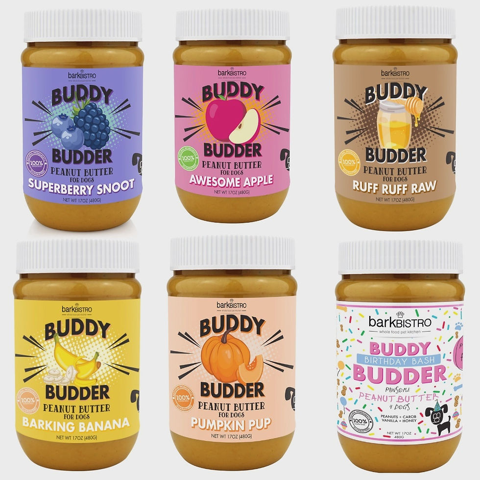 BBMIX12 Bark Bistro Dog Peanut Butter Create Your Own Buddy Budder Case Pack 12