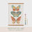 Thumbnail: BREBUT0021218-1002 Vibrant Butterflies Meditative Art Paint By Number Kit