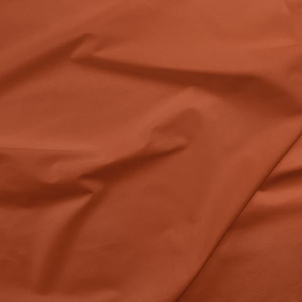 PBS121127 Painters Palette Burnt Sienna