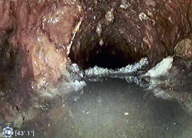 Damaged Sewer Line