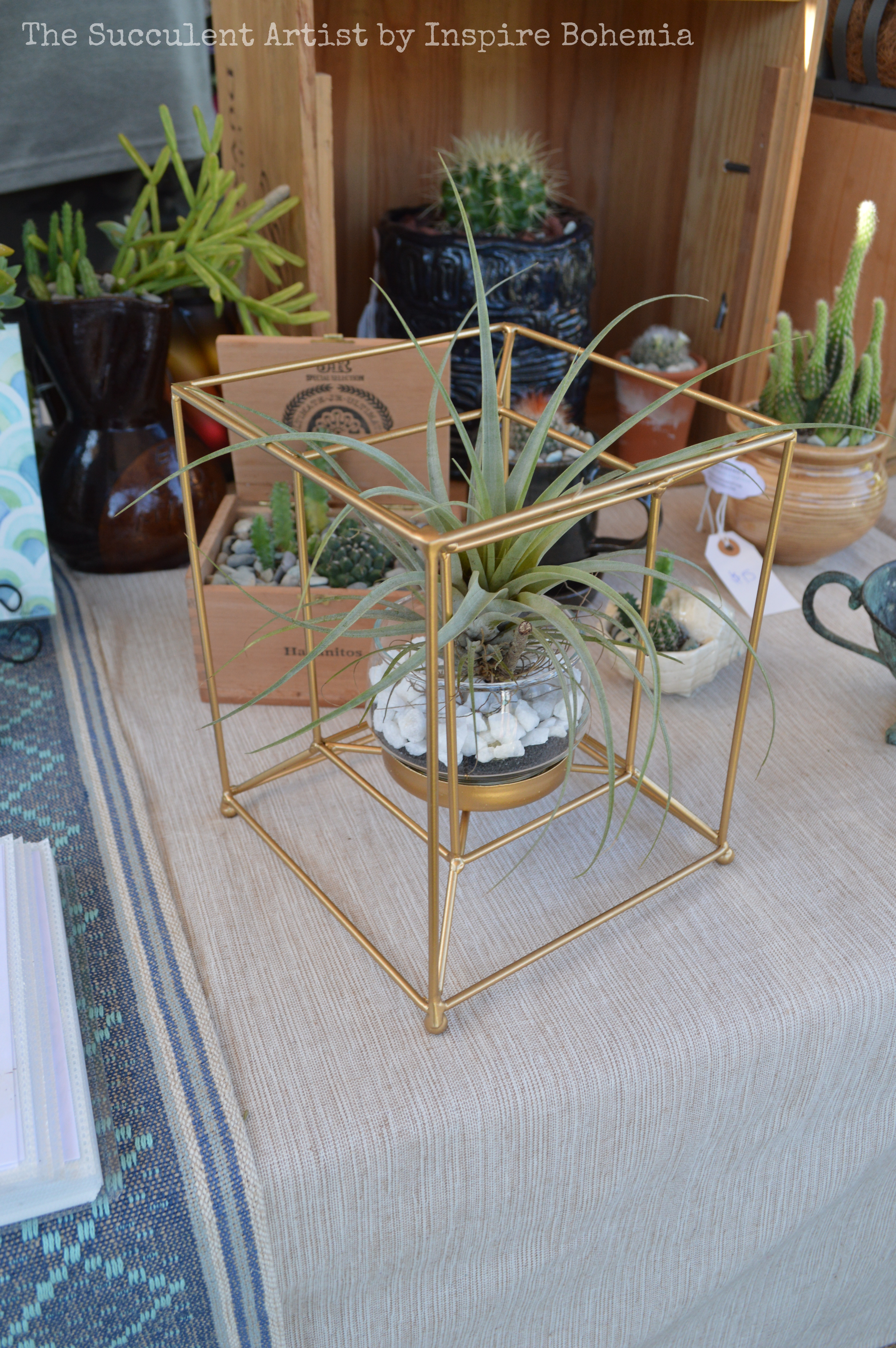Modern Geometric Tillandsia Planter (Air Plant)