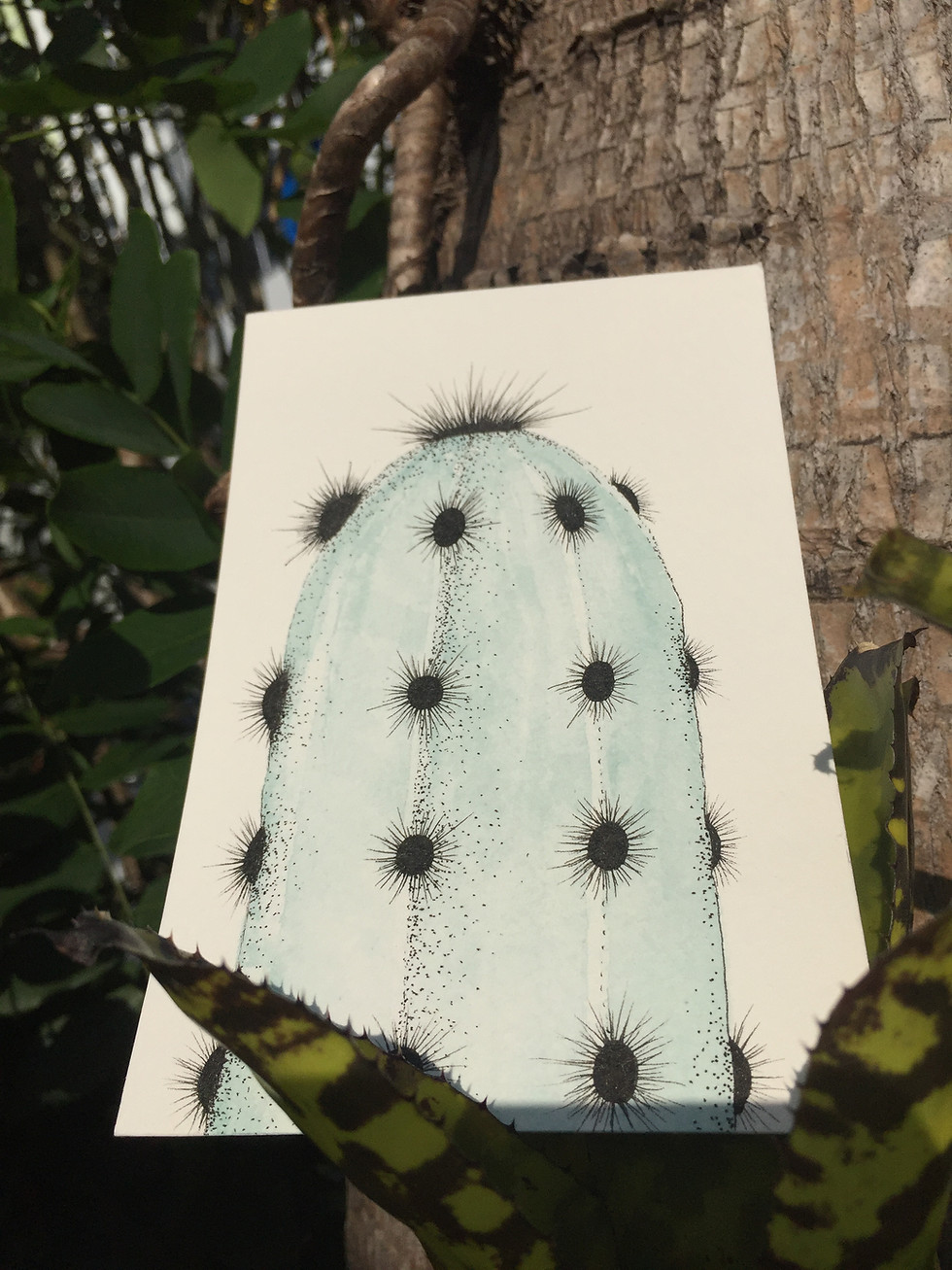 Thumbnail: Succulent and Cactus Watercolor Paintings