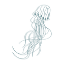 conchavolver.png