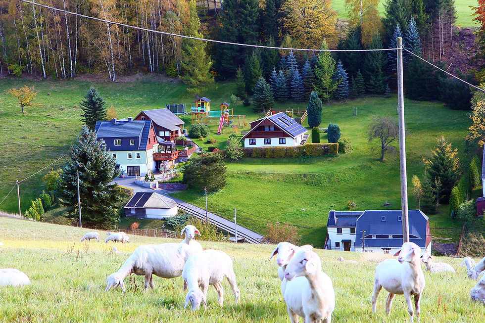 Blick3