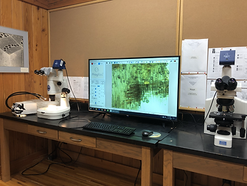Microscopes
